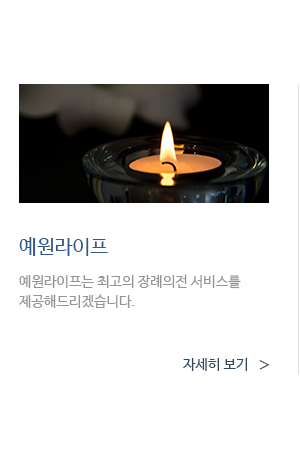 메인 비주얼 이미지