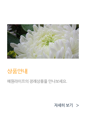 메인 비주얼 이미지